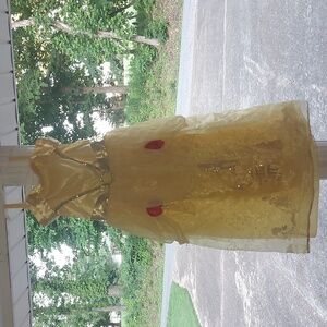 Disney Belle dress